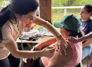 Prefeitura de Sinop leva serviços a produtores da Estrada Felícia