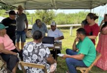 Gleba Mercedes recebe Mutirão Rural neste sábado (21)