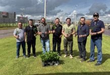 Prefeitura e Sicoob Norte MT realizam plantio de 2 mil mudas de árvores em Sinop