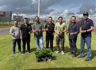 Prefeitura e Sicoob Norte MT realizam plantio de 2 mil mudas de árvores em Sinop