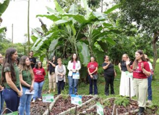 Procuradoria da Mulher promove 3º Encontro Mulheres do Campo em Ação na UFMT em Sinop