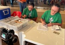 Ações de vacinação ampliam cobertura vacinal em Sinop