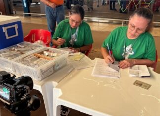 Ações de vacinação ampliam cobertura vacinal em Sinop