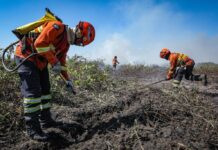 Publicado decreto que estabelece período proibitivo de uso do fogo