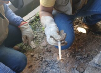 Sinop registra infestação de escorpiões em pelo menos três bairros