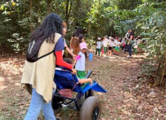 Parque Florestal de Sinop garante acessibilidade para cadeirantes e pessoas com mobilidade reduzida
