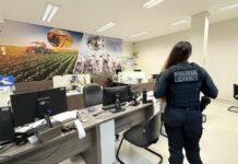 Operação desarticula esquema milionário de sonegação de ICMS no setor pecuário