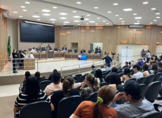 Vereadores de Sinop elaboram e aprovam Projetos de Lei que facilitam a vida de pessoas com Autismo