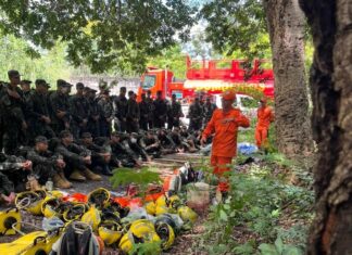 Corpo de Bombeiros capacita novos brigadistas do Exército Brasileiro