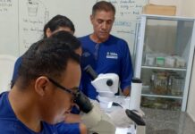 Vera implanta estratégia de ovitrampas e fortalece combate ao Aedes Aegypti