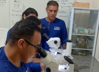 Vera implanta estratégia de ovitrampas e fortalece combate ao Aedes Aegypti