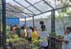 Escola municipal semeia consciência ambiental e hábitos sustentáveis em Lucas do Rio Verde