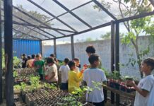 Escola municipal semeia consciência ambiental e hábitos sustentáveis em Lucas do Rio Verde