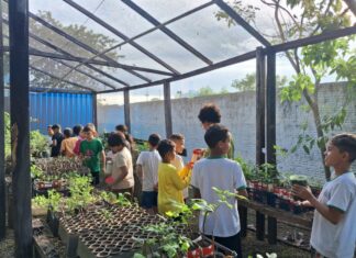 Escola municipal semeia consciência ambiental e hábitos sustentáveis em Lucas do Rio Verde