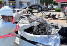 Operação Cidade Limpa retira 1,5 tonelada de fios e cabos irregulares de postes em Sinop