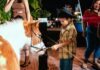 Dia da Família na Exponorte terá interação entre crianças e animais da mini fazenda neste domingo (31)