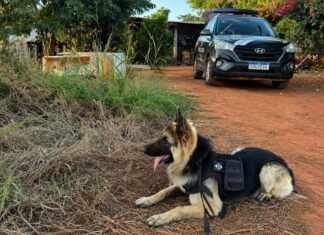 Polícia faz operação contra investigados por homicídio ligado a facção em Tabaporã