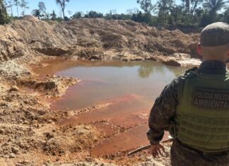 Batalhão Ambiental fecha área de desmatamento e garimpo ilegal em Novo Mundo