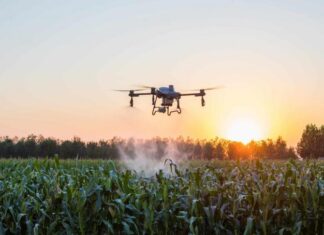 Curso gratuito de drones e gestão rural abre inscrições em Vera (MT)