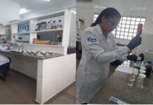 Com apoio da Fapemat, pesquisadores desenvolvem fertilizante sustentável a partir de cinza vegetal em Rondonópolis