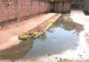 Fiscalização é reforçada após descarte irregular de esgoto no Vila Lobos