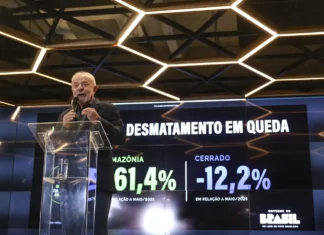 Desmatamento na Amazônia cai 61,4% em maio de 2026