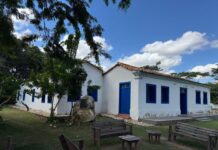 Museu de História Natural de MT terá feira permanente a partir deste domingo (7)