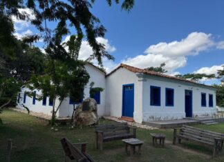 Museu de História Natural de MT terá feira permanente a partir deste domingo (7)