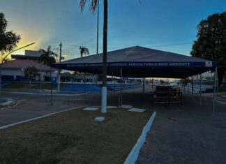 Vera prepara a 1ª Feira do Artesanato neste sábado