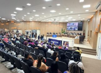 Câmara aprova trabalho intermitente para motoristas da Educação e home office para hora-atividade de professores em Sinop