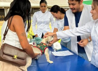 Sinop já imunizou mais de 8,2 mil animais contra a raiva