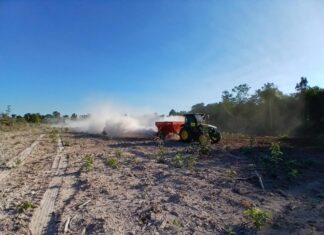 Sorriso começa a receber toneladas de calcário destinadas à agricultura familiar