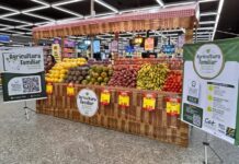 Ministério da Agricultura reconhece projeto do CAT Sorriso e destaca agricultura familiar de Mato Grosso