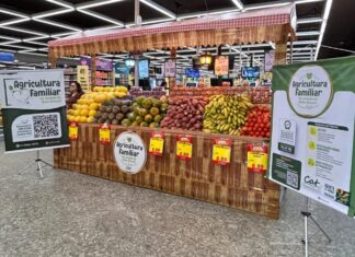 Ministério da Agricultura reconhece projeto do CAT Sorriso e destaca agricultura familiar de Mato Grosso
