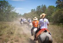 1ª Cavalgada da Comitiva Só Parceiro acontece neste sábado, 01 de agosto, em Santa Carmem