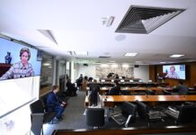 Comissão do Senado analisa porte de arma para mulheres sob medida protetiva