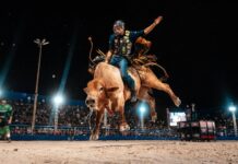 Grand Rodeo PBR estreia em Sorriso com premiação histórica de R$ 500 mil