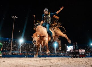 Grand Rodeo PBR estreia em Sorriso com premiação histórica de R$ 500 mil