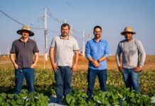 Campo experimental de Lucas prepara novas tecnologias para o Show Safra 2027