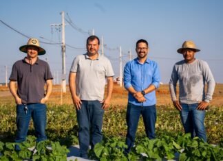 Campo experimental de Lucas prepara novas tecnologias para o Show Safra 2027