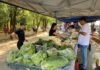 Feira da Família completa 4 neste fim de semana em Sinop