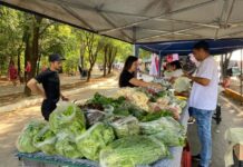 Feira da Família completa 4 neste fim de semana em Sinop