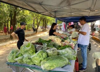 Feira da Família completa 4 neste fim de semana em Sinop