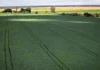 Senado aprova plano para fabricação de fertilizantes no Brasil