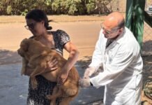 Saúde no Seu Bairro realiza mais de 400 atendimentos no Alto da Glória