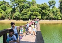 Dia da Árvore: cerca de 560 pessoas participam de programação especial no Parque Florestal de Sinop