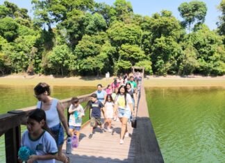 Dia da Árvore: cerca de 560 pessoas participam de programação especial no Parque Florestal de Sinop