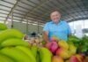 Lucas do Rio Verde avança na Jornada Selo Alimenta Cidades