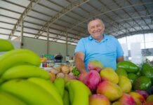 Lucas do Rio Verde avança na Jornada Selo Alimenta Cidades