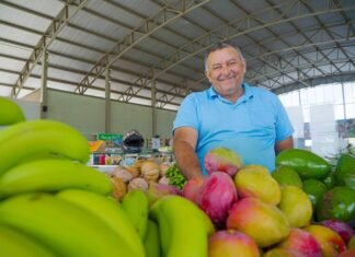 Lucas do Rio Verde avança na Jornada Selo Alimenta Cidades